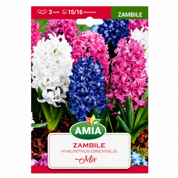 Zambile Amestec de Culori - Bulbi de Toamnă