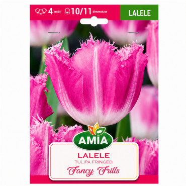 Lalele 'Fancy Frills' - Bulbi de Toamnă