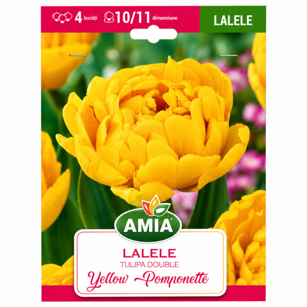 Lalele 'Yellow Pomponette' (calibru 10-11, Amia) - Bulbi de Toamnă