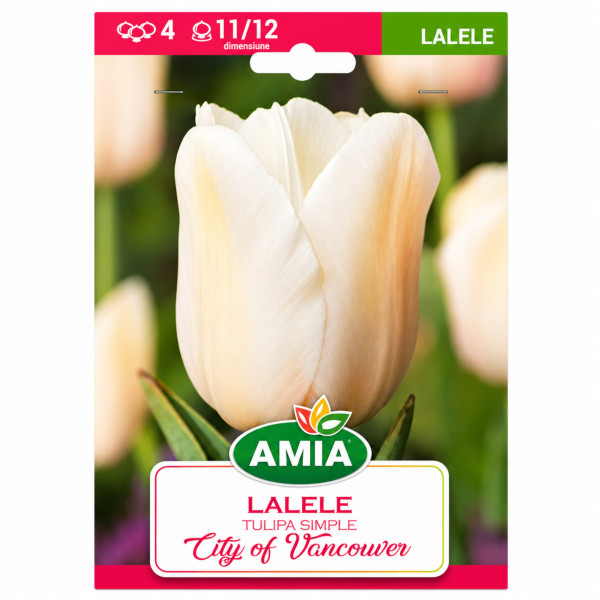 Lalele 'City of Vancouver' - Bulbi de Toamnă