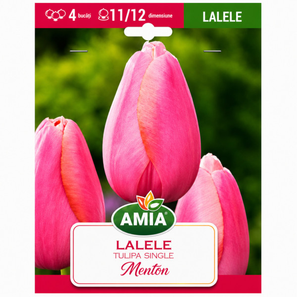Lalele 'Menton' - Bulbi de Toamnă