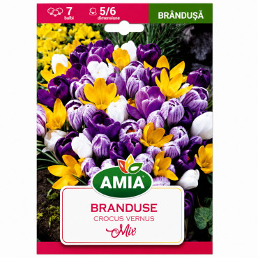Brândușe Amestec Botanic - Bulbi de Toamnă