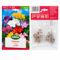 Freesia Amestec (flori simple) - Bulbi de Toamnă