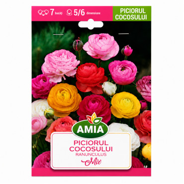 Piciorul Cocoșului Amestec de Culori (calibru 5-6, Amia) - Bulbi de Toamnă