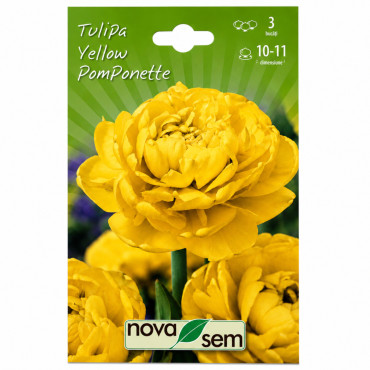 Lalele 'Yellow Pomponette' (calibru 10-11, Novasem) - Bulbi de Toamnă