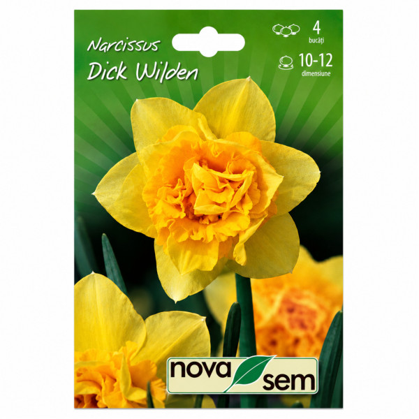 Narcise 'Dick Wilden' - Bulbi de Toamnă
