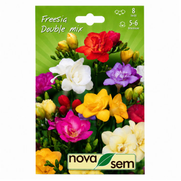 Freesia Amestec (flori duble) - Bulbi de Toamnă