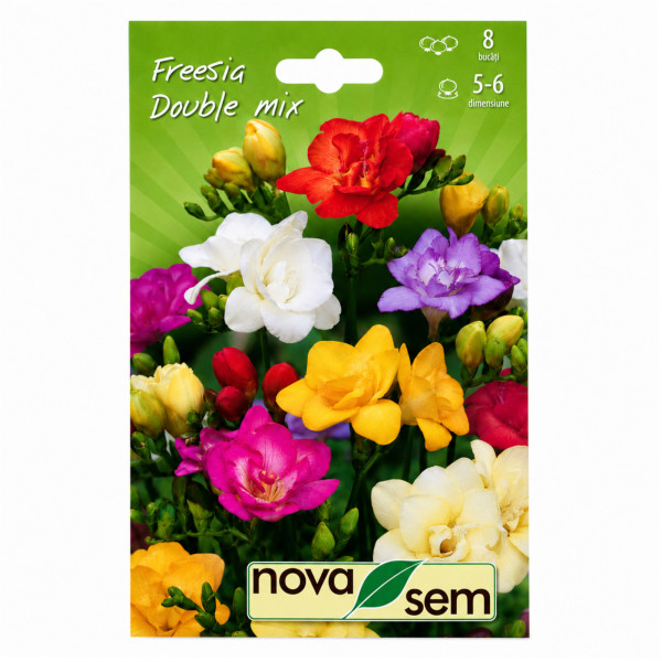 Freesia Amestec (flori duble) - Bulbi de Toamnă