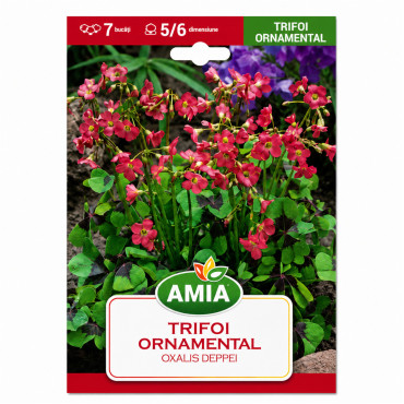 Trifoi Ornamental 'Deppei' - Bulbi de Toamnă