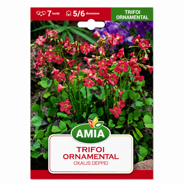 Trifoi Ornamental 'Deppei' - Bulbi de Toamnă
