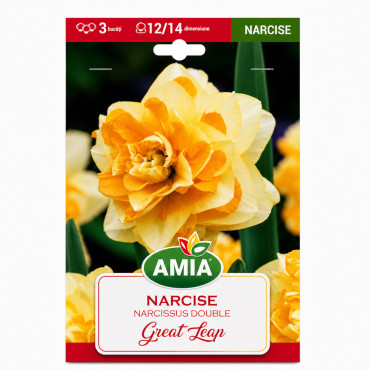Narcise 'Great Leapp' - Bulbi de Toamnă