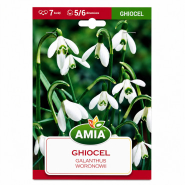 Ghiocei 'Woronowii' - Bulbi de Toamnă