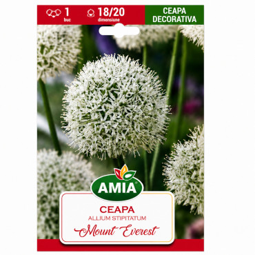 Ceapă decorativă 'Mount Everest' - Bulbi de Toamnă