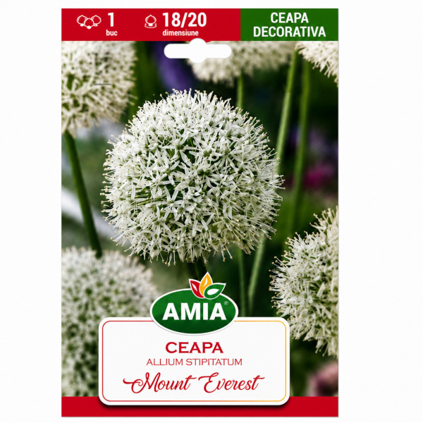 Ceapă decorativă 'Mount Everest' - Bulbi de Toamnă