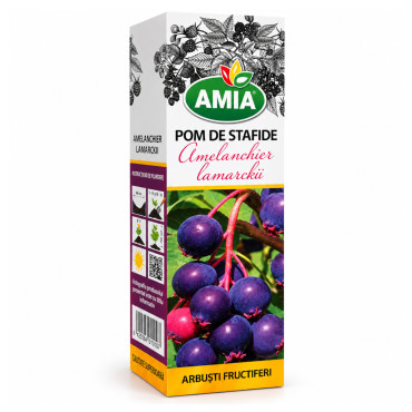 Butas de pom de stafide la tub