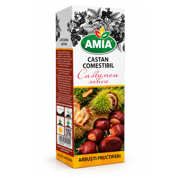 Butas de castan comestibil la tub