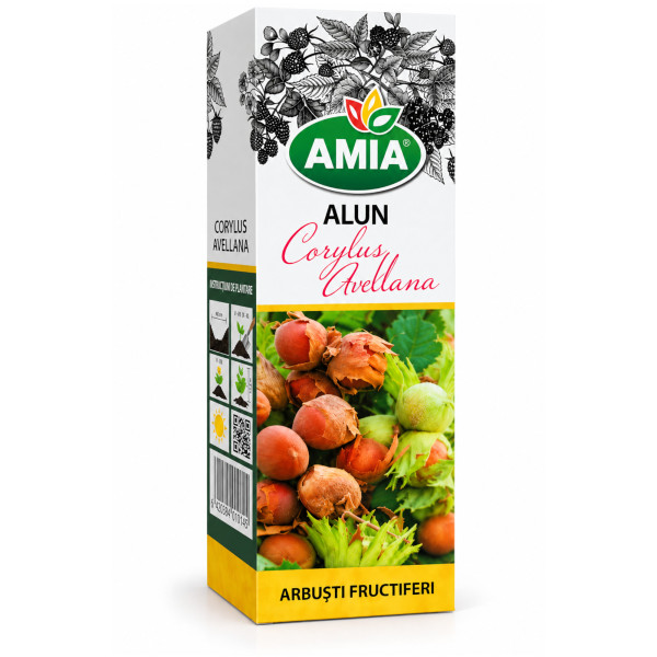 Butas de alun la tub Amia