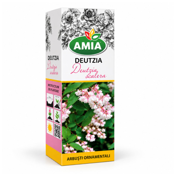 Butas de Deutzia Scabra la tub