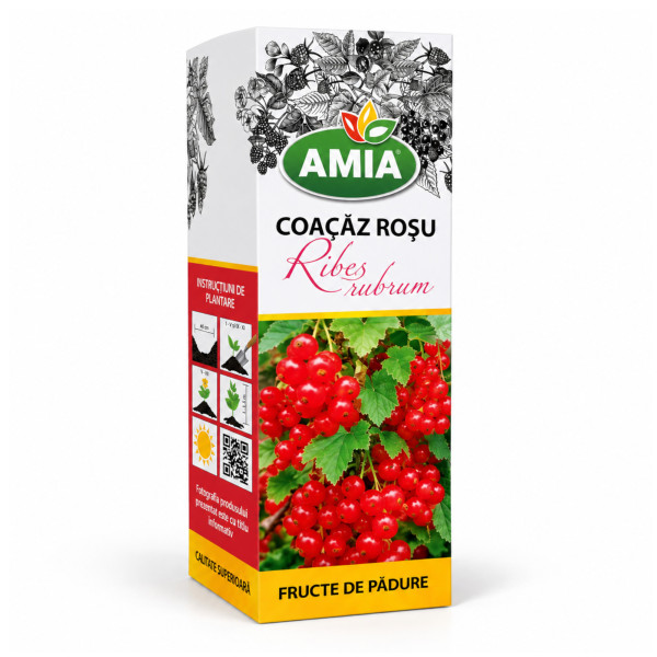 Butas de coacaz rosu la tub Amia 
