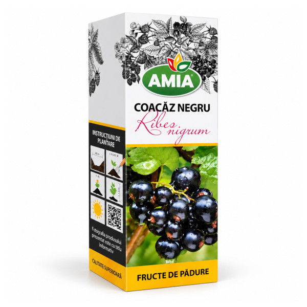Butas de coacaz negru la tub