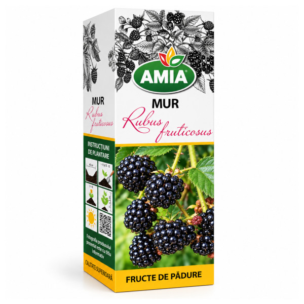 Butas de mur la tub