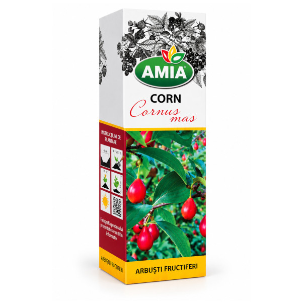 Butas de Corn