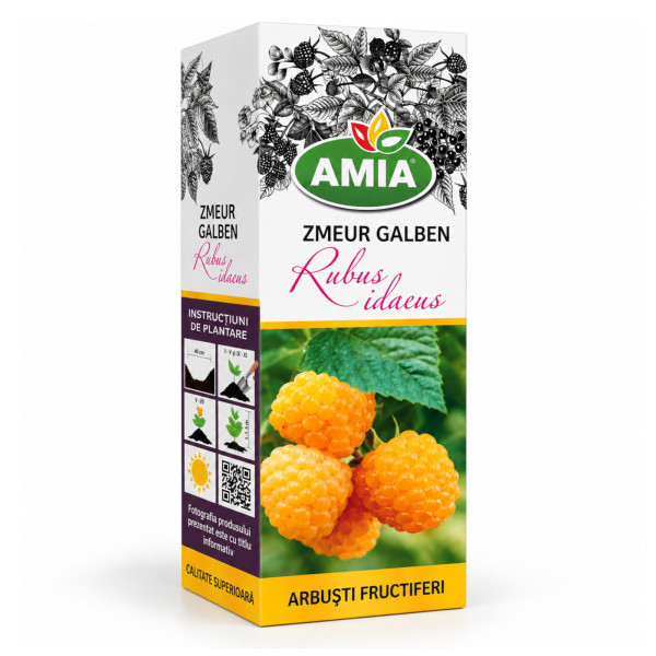 Butas de zmeur galben la tub