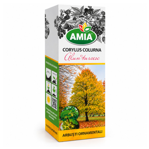 Butas de alun turcesc la tub Corylus Cocurna