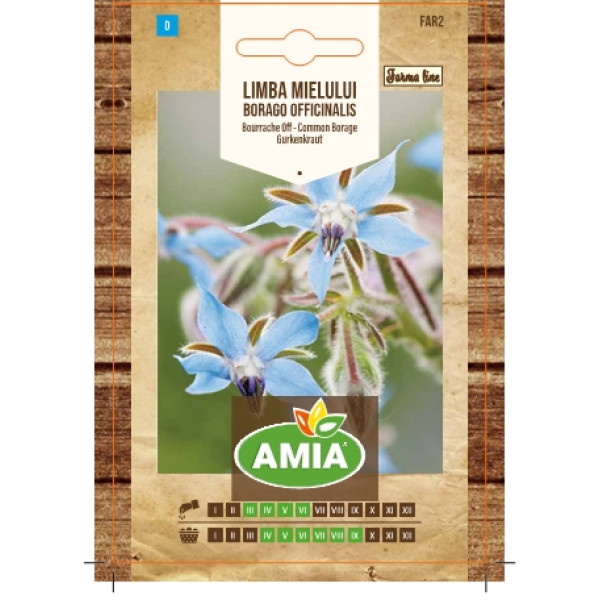 Seminte de limba mielului, Borago officinalis