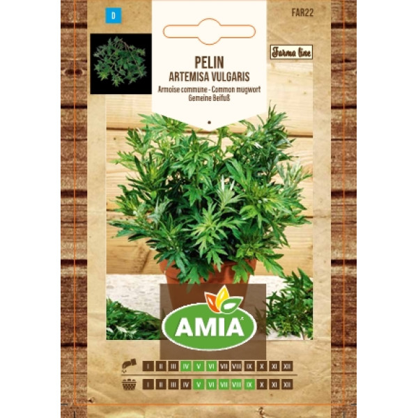 Seminte de pelin, Artemisia vulgaris