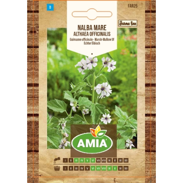 Seminte de Nalba mare, Althaea officinalis