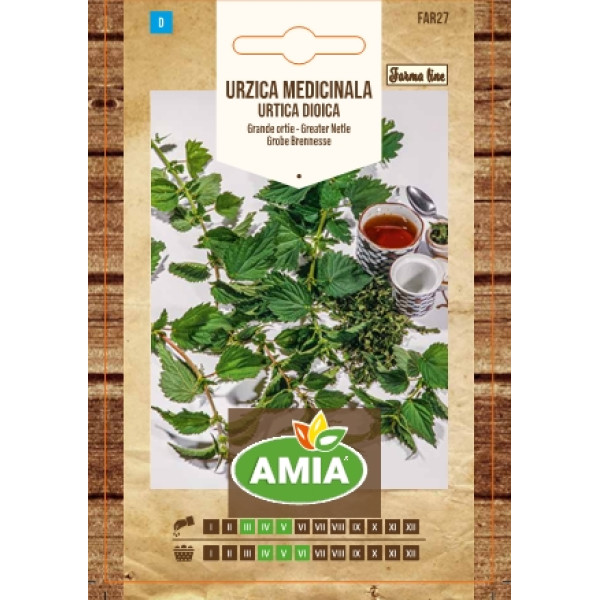 Seminte de urzica medicinala, Urtica dioica