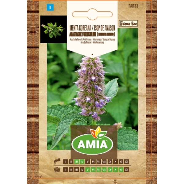Seminte de Menta Koreana Isop de Anason, Agastache Foeniculum (Lophantus Anisatus)