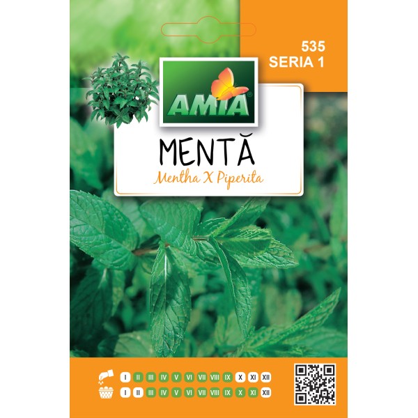 Seminte de menta 0,1 grame