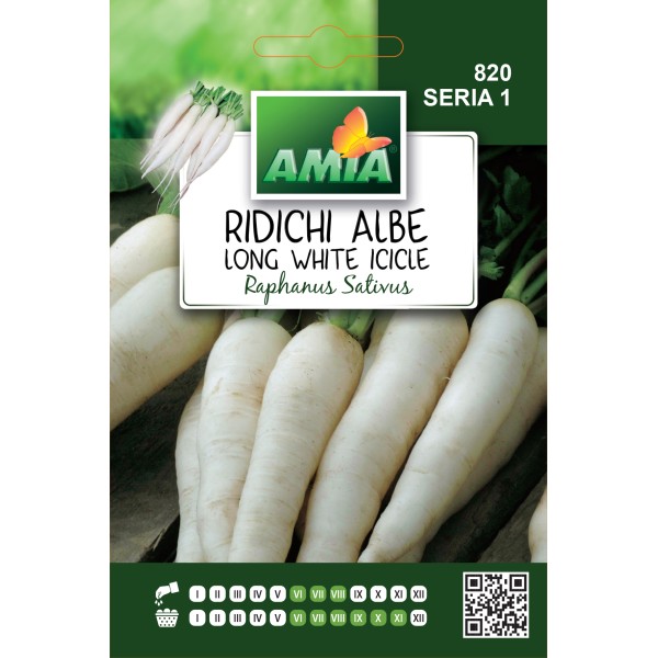 Seminte de ridichi albe Long White Icicle, 6 grame