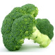 Broccoli Broccoli