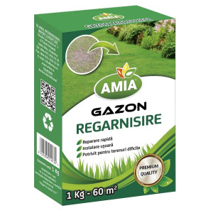 Seminte de gazon Ami...