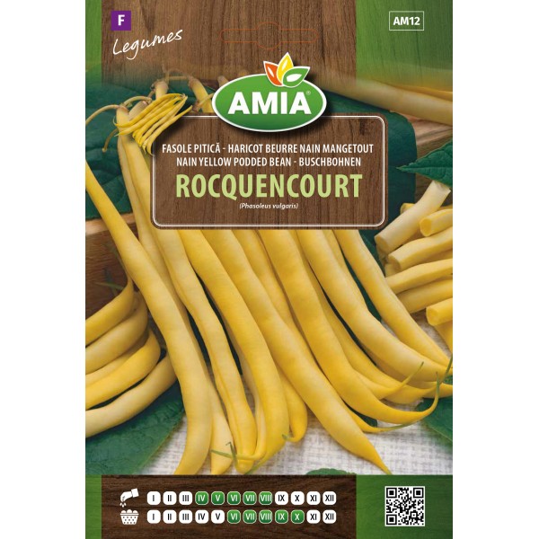 Seminte de fasole fideluta galbena pitica Rocquencourt 30 gr