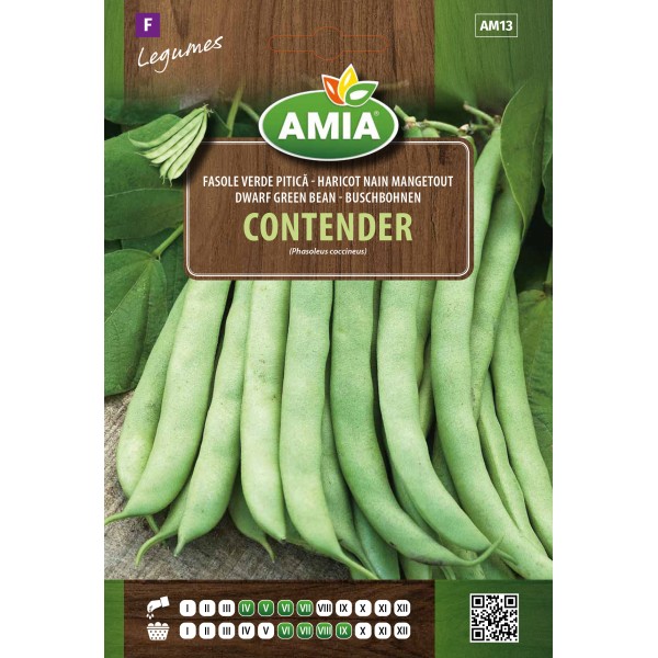 Seminte de fasole pitica Contender, 30 grame