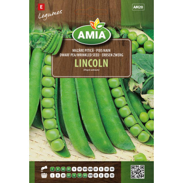 Seminte de mazare Lincoln, 40 grame