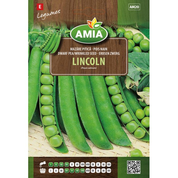 Seminte de mazare Lincoln, 40 grame
