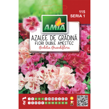 Seminte de flori azalee de gradina dubla amestec culori 0,5 gram Amia