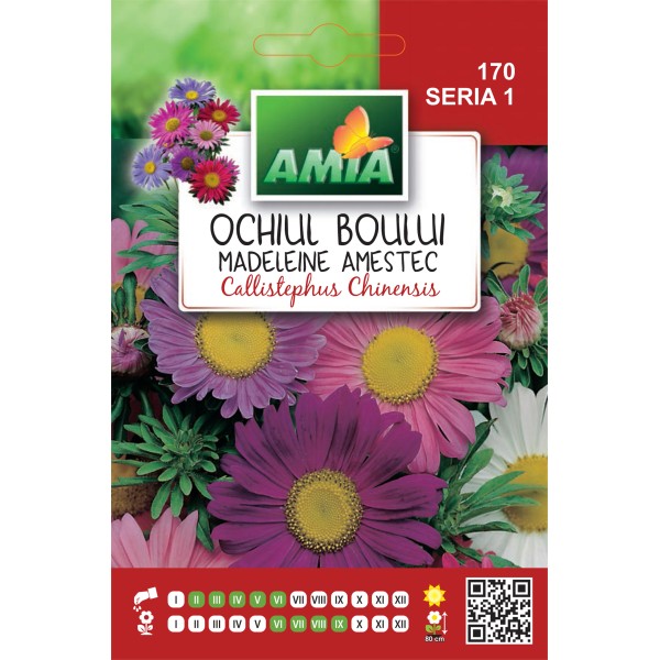 Seminte de flori ochiul boului Madeleine amestec 0.60 gr Amia