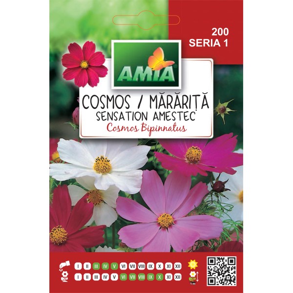 Seminte de flori Cosmos Mararita sensation variata 2 gr Amia