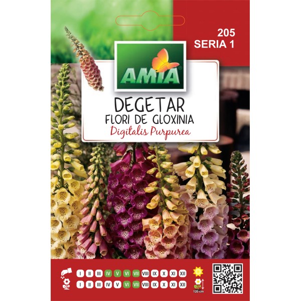 Seminte de flori degetar Gloxinia amestec de culori 0,50 gr Amia