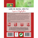 Seminte de flori Lupin hibrid de Russell amestec culori, 0,5 grame