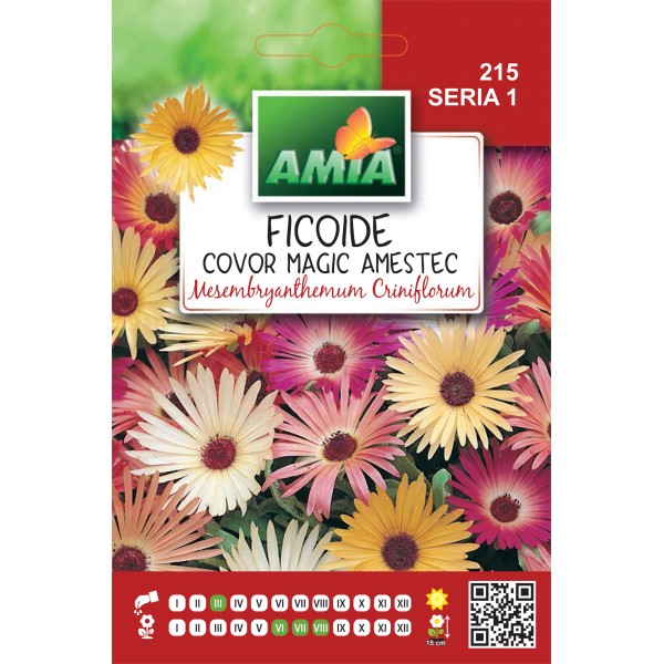Seminte de flori Ficoide Tapis magique amestec culori 1 gr Amia