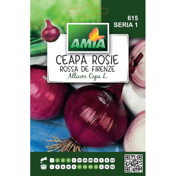 Seminte de ceapa rosie Rossa de Firenze, 1 gram