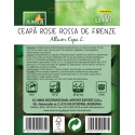 Seminte de ceapa rosie Rossa de Firenze, 1 gram