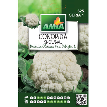 Seminte de conopida Snowball, 0.80 gram